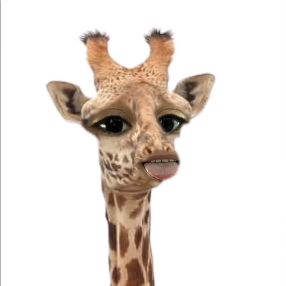 Meet your Posher, Daniela